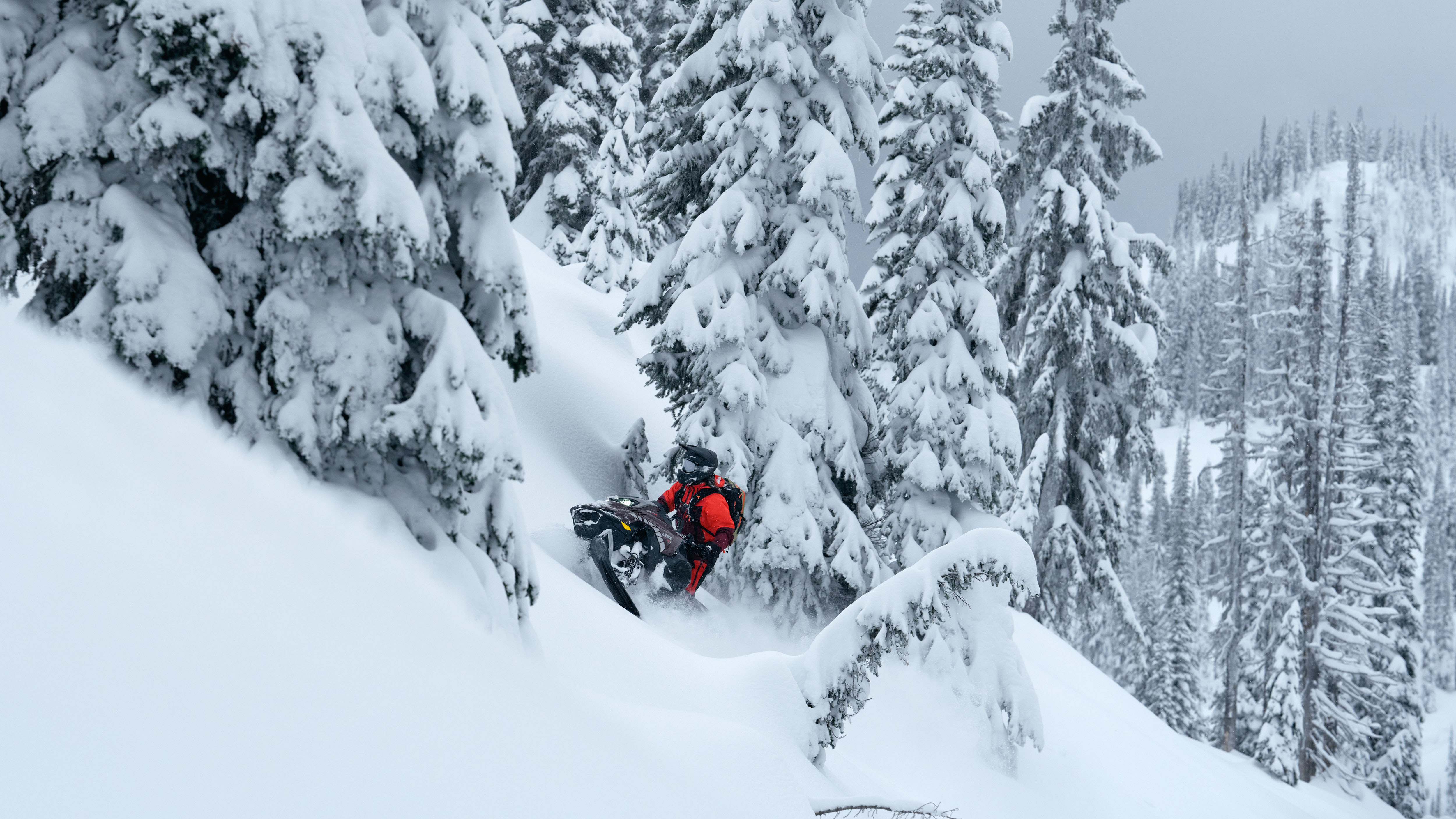 Snowmobiler riding the 2026 Lynx Shredder DS through the deep snow of a snow-covered forest.